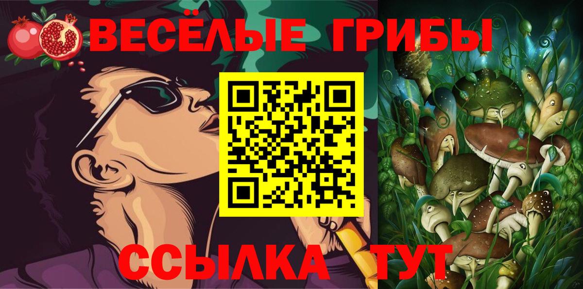 Нурлат  Галлюциногенные грибы Psilocybe  Вход с VPN 